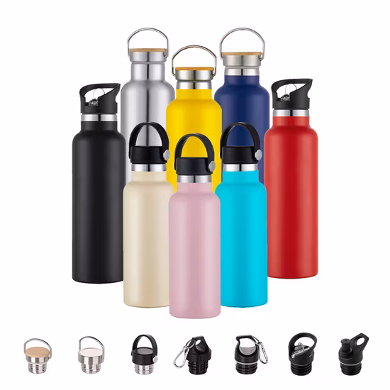 Stainless Steel Vacuum Water Juicer Lemon Coffee Tea Bottle Keep Cool Warm Thermos Double Wall Flask